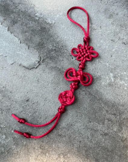knots in satin cord (2025)