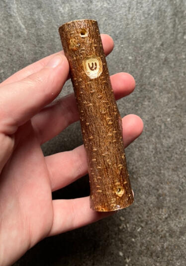 mezuzah case, autumn olive (2023)