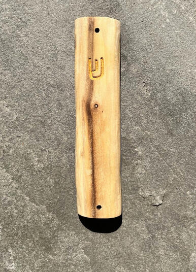 mezuzah case, autumn olive (2024)