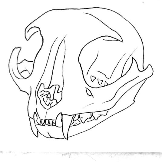 ink on paper (2017)